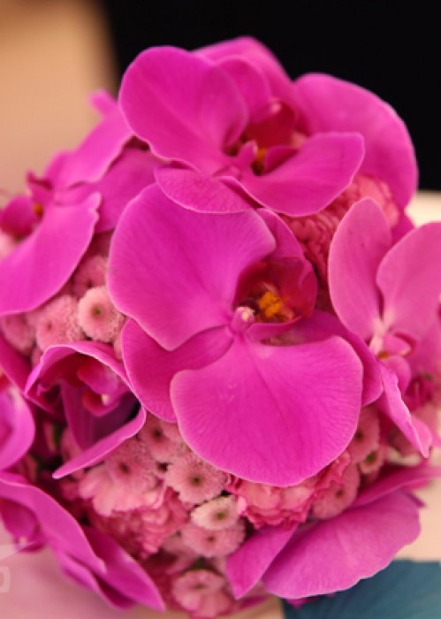 thủy chung màu tím