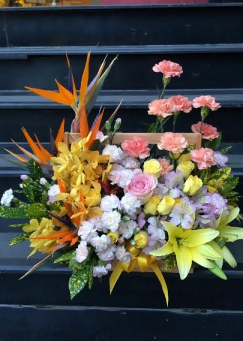 Giỏ hoa / Hộp hoa