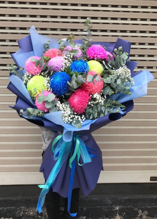 Sắc màu cúc mẫu đơn