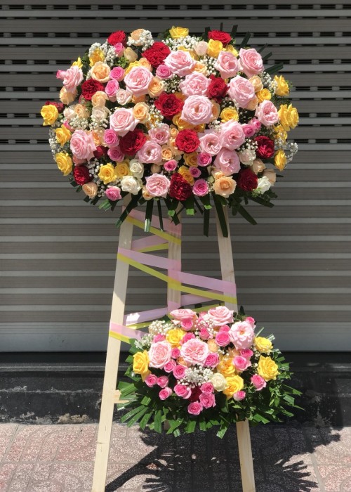 Kệ hoa hồng nhiều màu