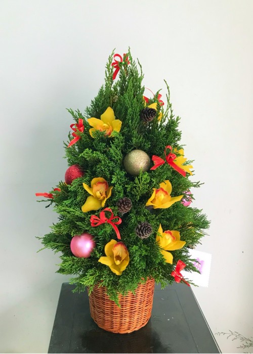 Chúc mừng giáng sinh