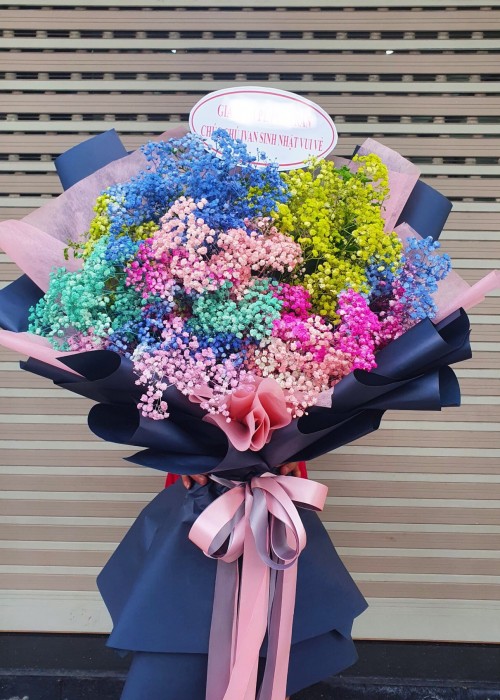 Bó babi Hà Lan nhiều màu