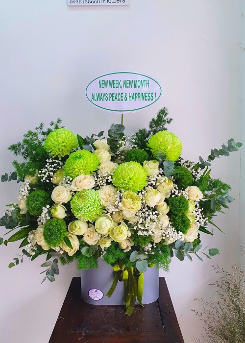 Hộp cúc mẫu đơn xanh cốm 