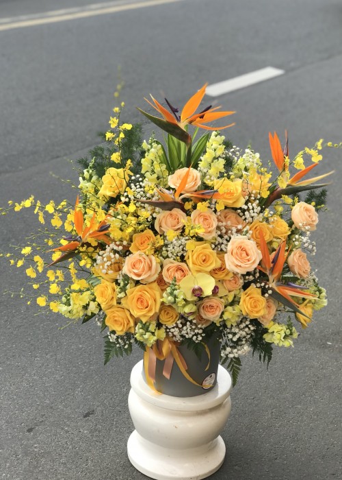 Hộp hoa khai trương