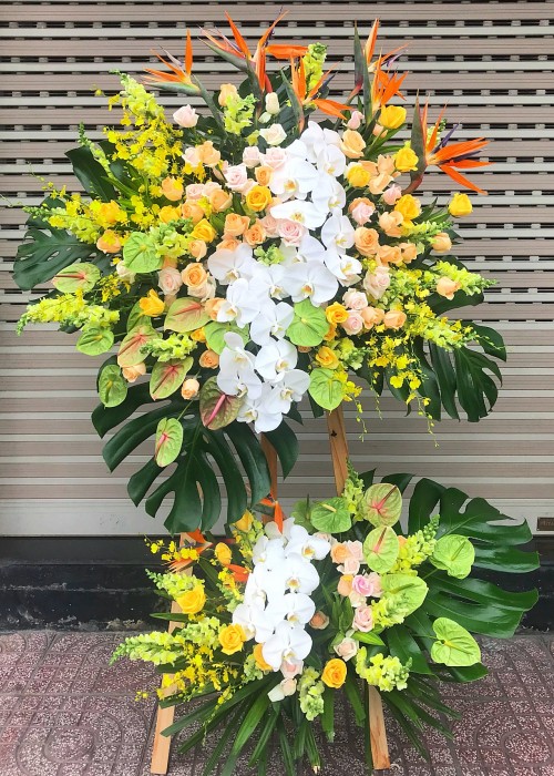 Kệ hoa hồng và lan hồ điệp 