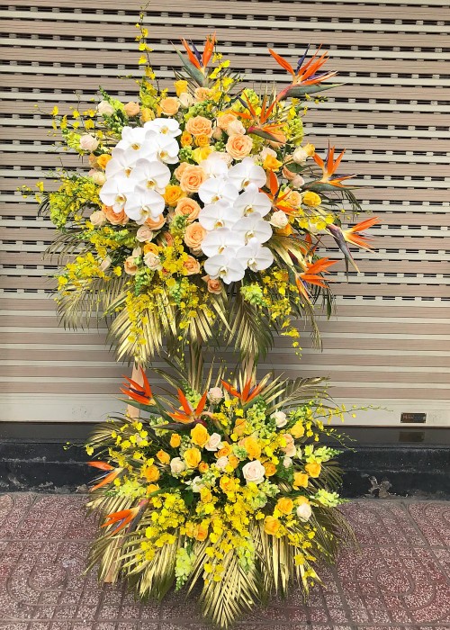 Kệ hoa hồng và lan hồ điệp trắng