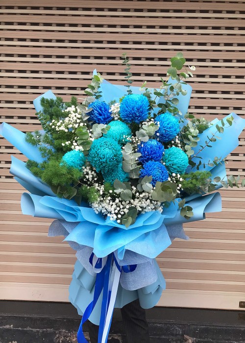 Cúc mẫu đơn xanh blue và babi hà lan