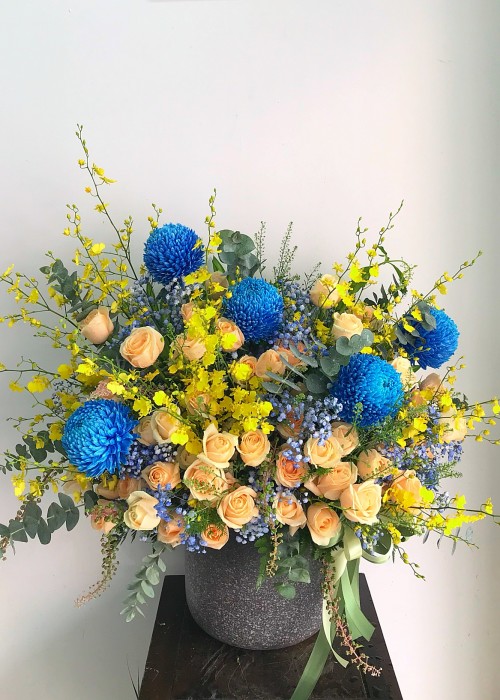 Chậu cúc mẫu đơn xanh blue và hoa hồng