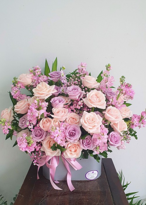 Hoa hồng và babi hà lan