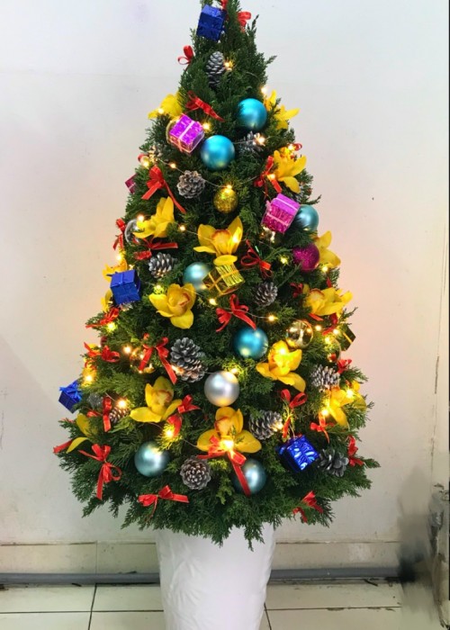 Cây thông Noel ấm áp