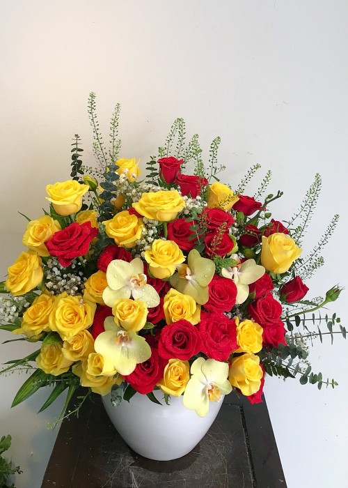 Chậu hoa hồng 2 màu và lan hồ điệp