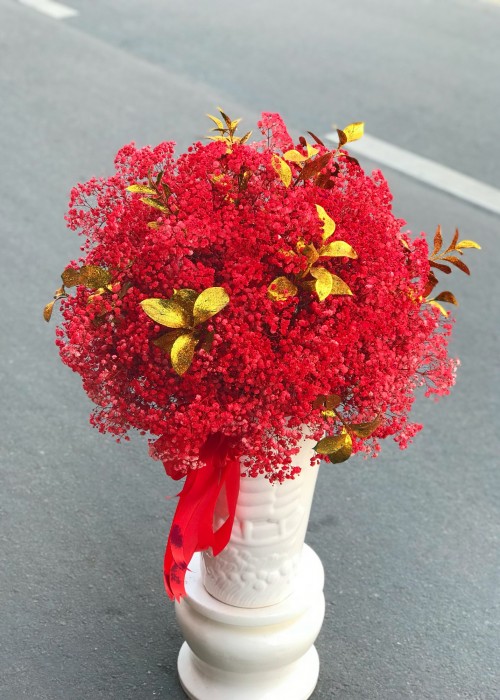 Chậu Babi Hà Lan đỏ