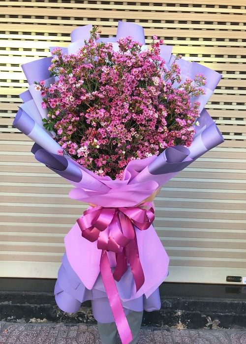 Bó hoa thanh liễu tím