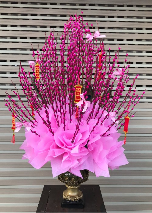 Nụ tầm xuân hồng