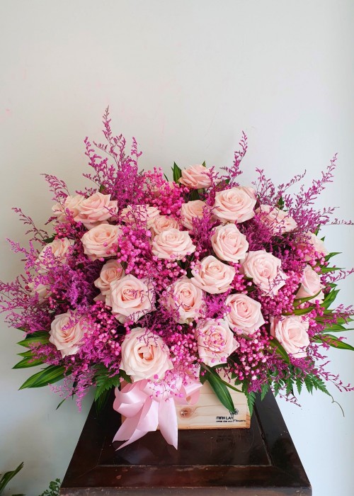 Chậu hoa hồng và babi hà lan