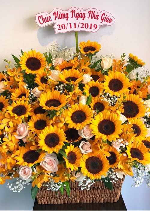 Giỏ hoa hướng dương khổng lồ