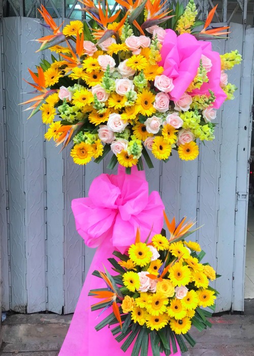 Kệ hoa đồng tiền và hoa hồng