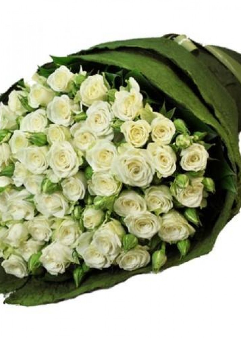 Bó hoa hồng trắng tinh khôi
