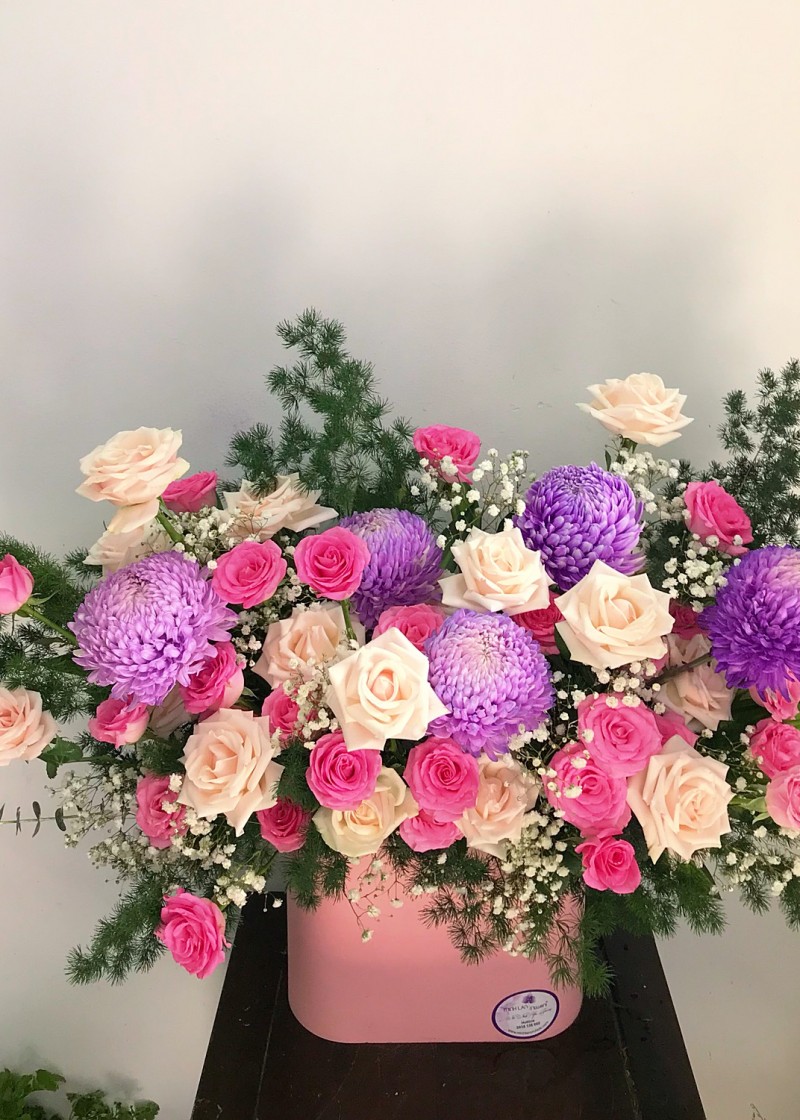 Cúc mẫu đơn tím và hoa hồng 2 màu