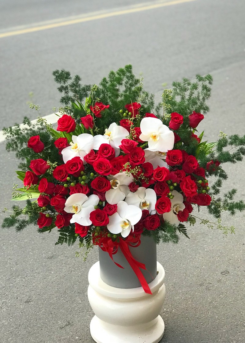 Lan hồ điệp trắng và hoa hồng đỏ